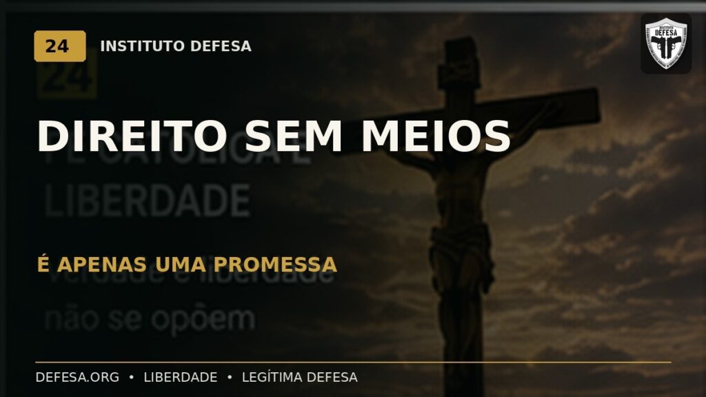 Um direito sem meios de exercício é apenas uma promessa — Instituto DEFESA